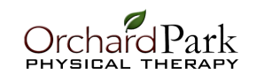OrchardPark Physical Therapy